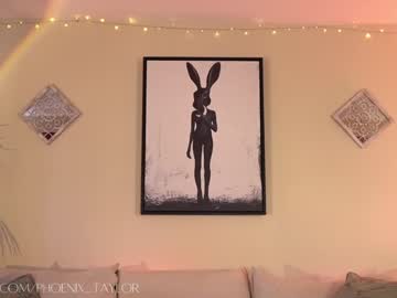webcam girl phoenix_taylor image #7225400