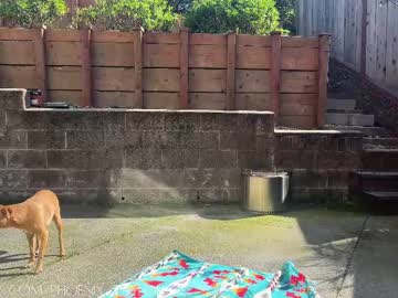 webcam girl phoenix_taylor image #8880173