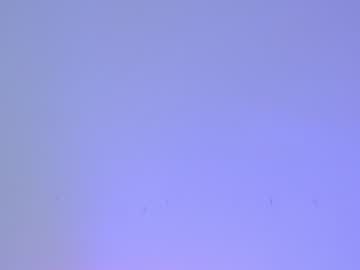webcam girl shycinderella image #1017752