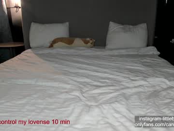 webcam girl carolinaherera image #6737192
