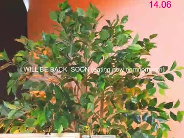 webcam girl lissa_meooow image #9622598