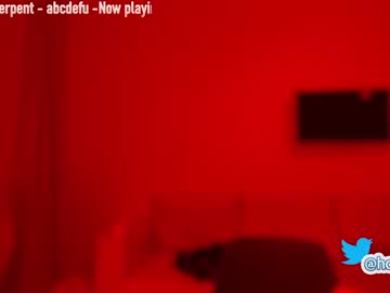 webcam girl hollyextra image #641200