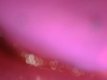 webcam tranny acs995 image #7765505