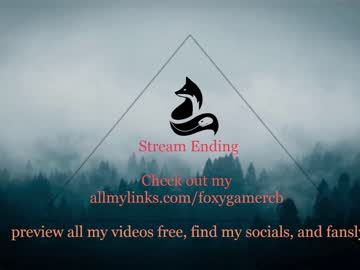 webcam girl foxy_gamer image #4959565