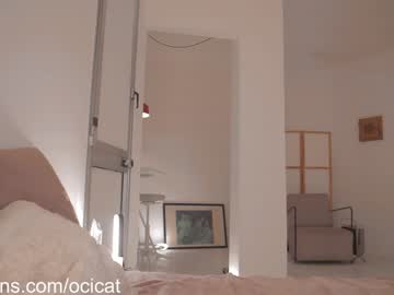 webcam girl ocicat image #8060384