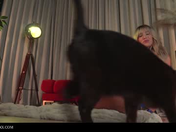 webcam girl provocatrixx image #5380075