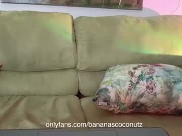 webcam girl bananascoconutz image #4416300