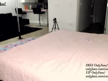 webcam girl princess_cece image #4352628