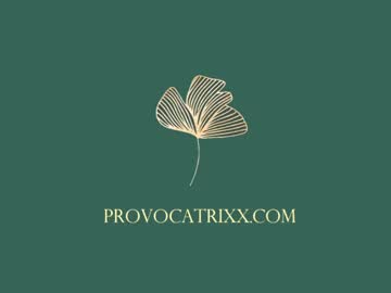webcam girl provocatrixx image #2538869