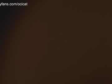 webcam girl ocicat image #4358605