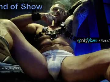 webcam man muscle_dog image #1649317