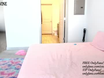 webcam girl princess_cece image #4772428