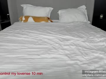 webcam girl carolinaherera image #5012621