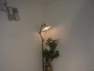 webcam girl shena_nomy image #7661609