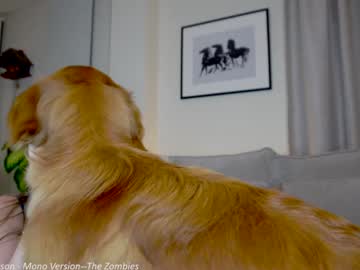 webcam girl x_lily_x image #7585545