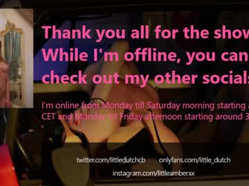 webcam girl little_dutch image #2462009