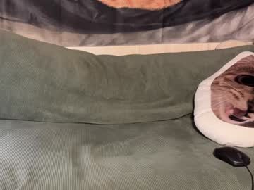 webcam girl galantini image #8414214