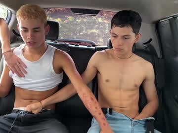 webcam man car_secrets image #4118478