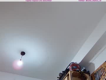 webcam couple osito_blanco image #7642279