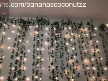 webcam girl bananascoconutz image #5663122