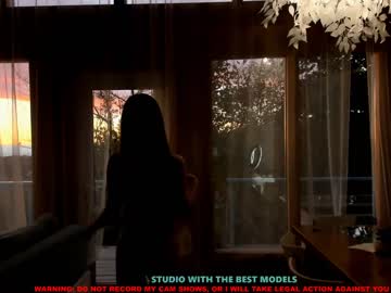 webcam girl coy_amina image #445477