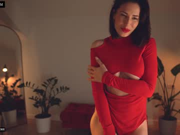webcam girl provocatrixx image #8318296