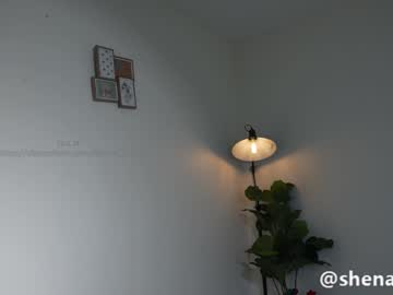 webcam girl shena_nomy image #7721990