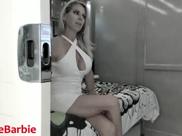 webcam girl rvlifebarbie image #2099157
