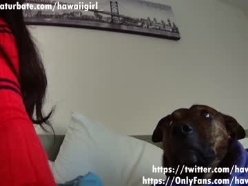 webcam girl hawaiigirl_ image #3583208