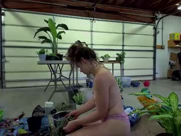 webcam girl rosegold18 image #7376371