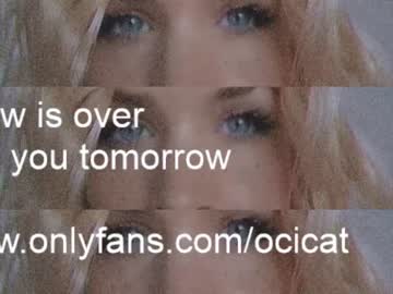 webcam girl ocicat image #3608097