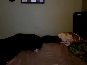 webcam girl xoxoalayah830 image #7394331