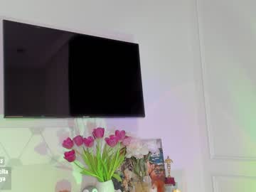 webcam girl sweety_rinushka_ image #619993