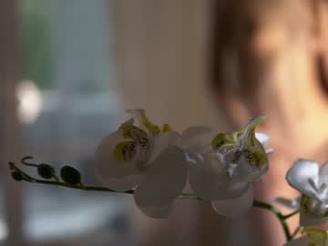 webcam girl neferpita image #7024602