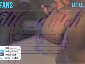 webcam girl little_dutch image #3488402
