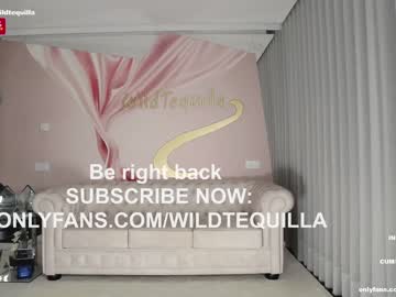 webcam girl wildtequilla image #4906311