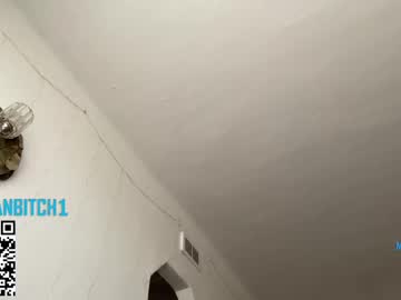 webcam tranny evelynforever image #9455787