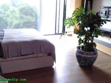 webcam girl mila_ image #2120925