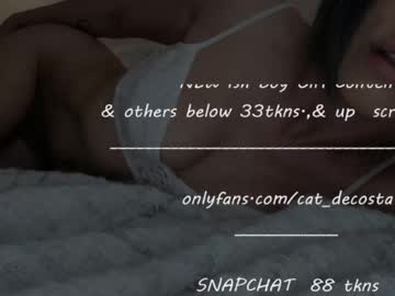 webcam girl cat_decosta image #2151608