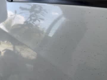webcam man car_secrets image #4062164