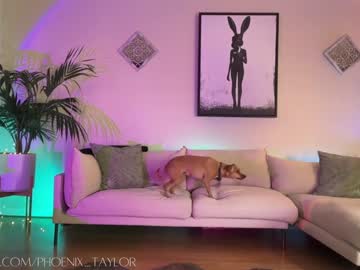 webcam girl phoenix_taylor image #7134820