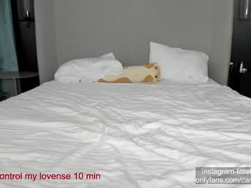 webcam girl carolinaherera image #7610003