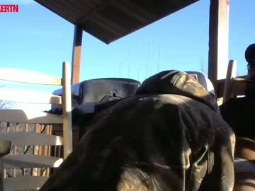 webcam man hardworkertn image #1294937